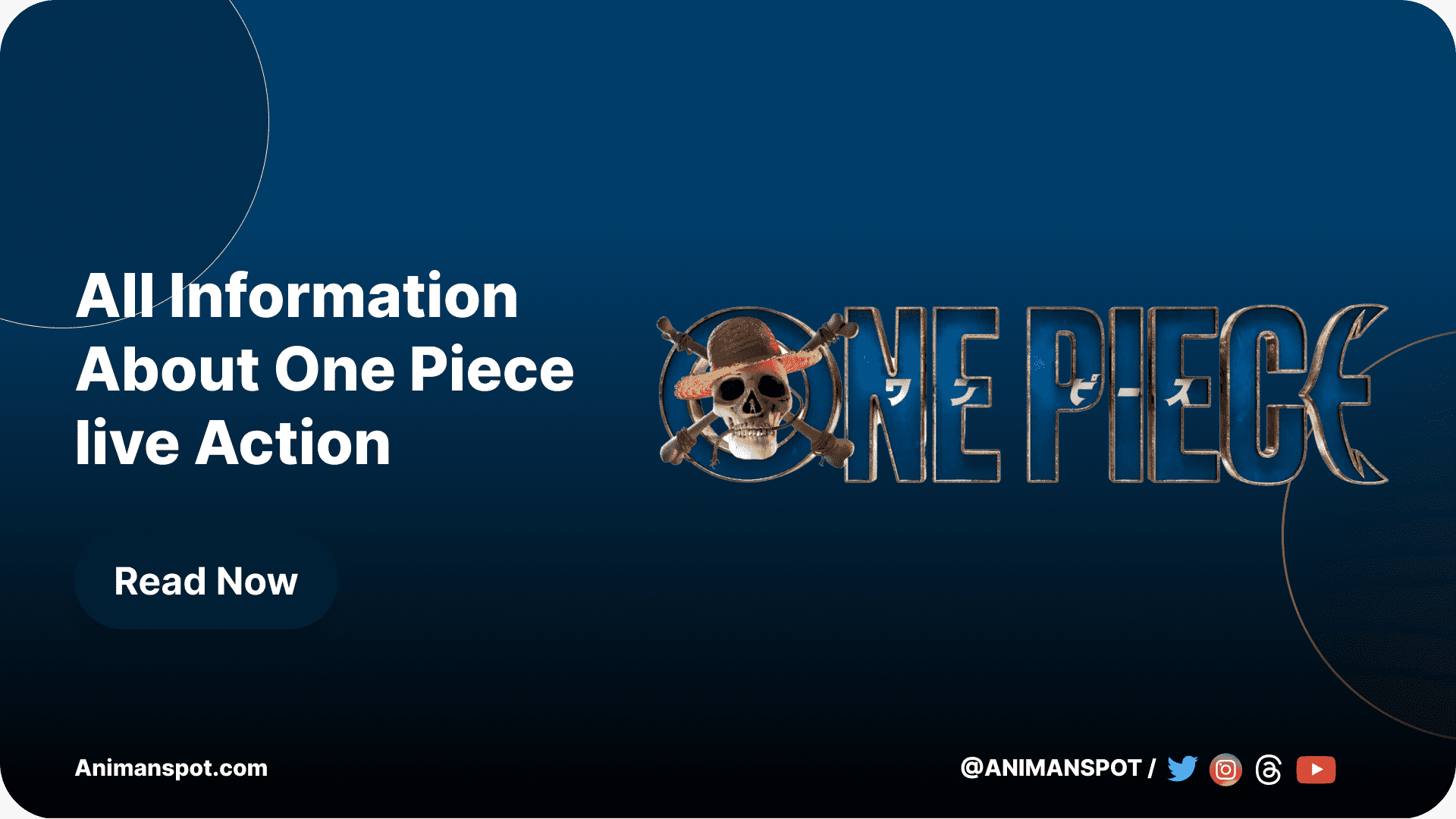 all information about one piece live action